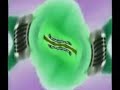 Preview 2B Effects 1 In G Major 58