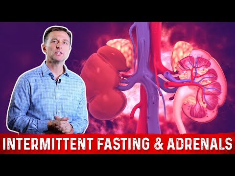 How to Overcome Adrenal Stress with Intermittent Fasting – Dr Berg