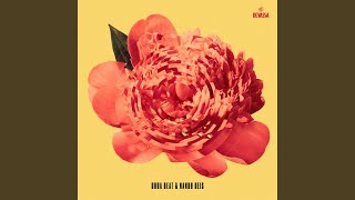 Na Estrada Lyrics English Translation