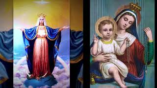 Elvis Presley : « Miracle du Rosaire »