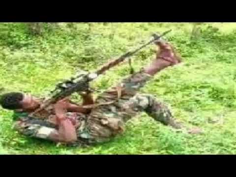 Afaan Oromo music Ababa Dhugasa /Rabbira/ WBO koo 2019