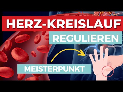Dieser Meisterpunkt wirkt erstaunlich! - Herz-Kreislauf Regulation