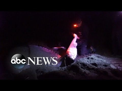 Remote Costa Rican Beach Becomes Battleground Over Sea Turtle Eggs