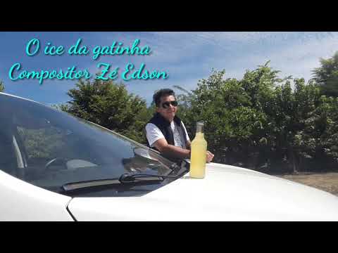 O Ice Da Gatinha - Zé Edson