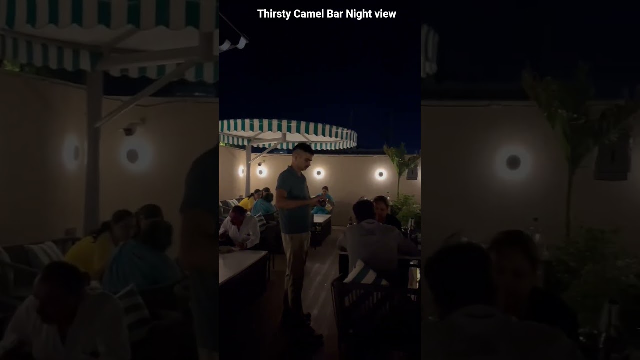 Park Central [Thirsty Camel Night View] for reservations call us 9799789777