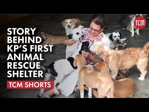 The First Animal Rescuer of Khyber Pakhtunkhwa | Zeba Masood