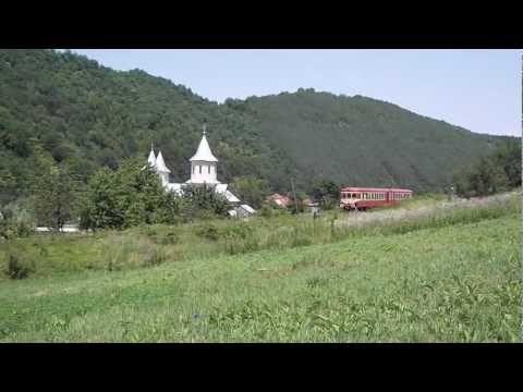 Halta Borz-Via Terra Spedition