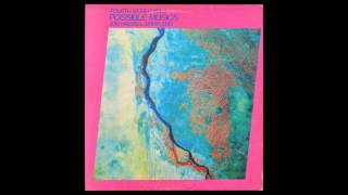 Delta Rain Dream, Griot, Ba-benzélé - J.Hassell/B.Eno — Possible Musics (1980)