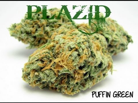 DubStep - Mix 2013 - PLAZID