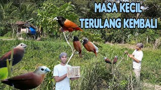 Download lagu SERUNYA MIKAT EMPRIT KAJI MENGUNAKAN MP3,,SUARANYA GACOR HABISSS mp3