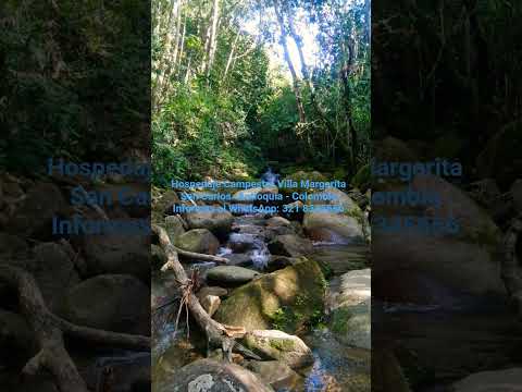 Hospedaje Campestre Villa Margarita-San Carlos -Antioquia-Colombia. Informes al WhatsApp: 3218345666