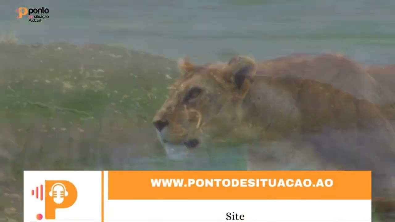 RAZÕES DA ATRIBUIÇÃO DO NOME DE WEZA E LEÃO A UMA CRIANÇA