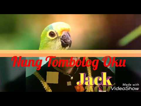 Jelius Jack - Nung Tombolog Oku  (official lyric video)