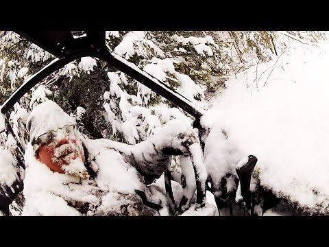 Tisonagan - L'homme qui a vu l'ours