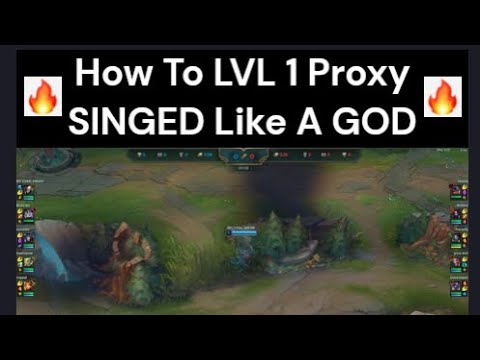 The Perfect LVL 1 SINGED Proxy Guide