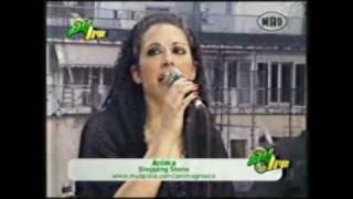 Anima-Stepping stone