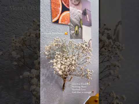 Dried Flowers❤️🥀🌸🌷🌻#mudita_days#shorts #youtubeshorts