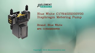 Blue White C17N402X000V00 Diaphragm Metering Pump