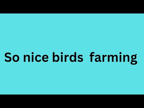Satwika Vlogs.!!! # Birds farming #special !!!