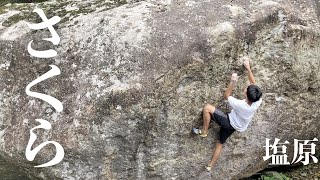 さくら  3級 - 塩原ボルダー