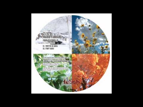 Mario Fabriani - Winter In Bahia
