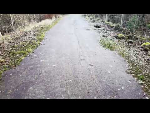 DEN GAMLA DELEN av RIKSVÄGEN nära SJÖARP - 2023-01-16 - Bräkne-Hoby - RONNEBY