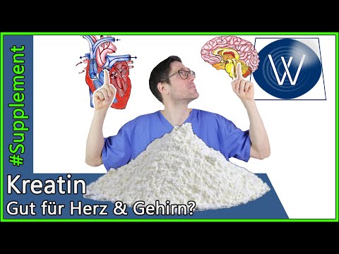 Kreatin: Wirkung & Prophylaxe - Können auch unser Herz, Knochen & Gehirn vom Supplement profitieren?