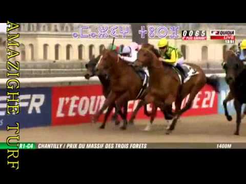 Quinté+ de Chantilly du 03/03/15