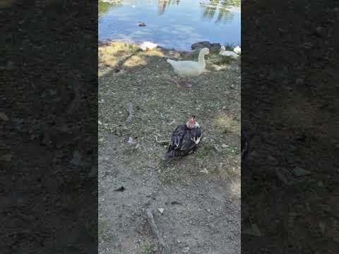 Tajamar, Alta Gracia, Córdoba. Argentina.