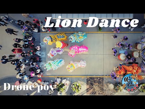 Houston Dragon and Lion dance(Unity troupe) from a drone pov.   Must see!