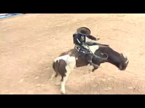 Cory Rasch vs Chief - 06 PBR Finals (90.5 pts)