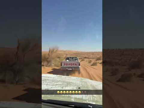 راعي الشاص ✈️🇱🇾 #شاص #اكسبلور #محركات #toyota #لايك #offroad #السعوديه