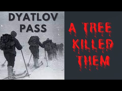 The Dyatlov Pass : TREE THEORY -WHAT REALLY HAPPENED | 3 NEW PIECES OF EVIDENCE