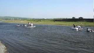 preview picture of video 'Заплыв на самодельных плотах по реке Аскиз'