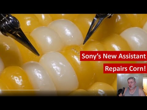 Microsurgery Assistant Solving World Hunger One Kernel At A Time -- NOS