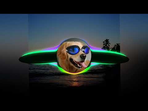 Mc Kitinho e Mc Maike - 20 Conto com GRAVE