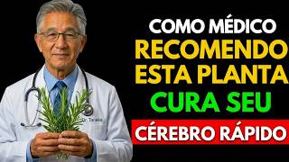 6 Plantas Que um NEUROLOGISTA Recomenda Para Blindar o Cérebro | Saúde de Adultos Maiores