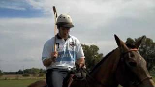 Buenos Aires Polo Lessons Preview