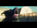 Rockets & Clouds - Rockets (Official Video)