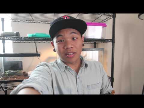 Be a Performer for Music Speaks 2012!!!​​​ | AJ Rafael​​​