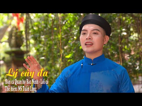 Ảnh bài hát Lý Cây Đa - Thể hiện bởi Tuấn Long