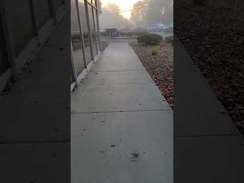 Asurion Return Ups Or Usps