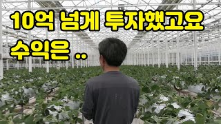 1000평짜리 비닐하우스에 10억 이상 투자하면 나오는 수익