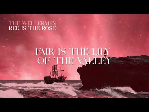 The Wellermen - Red Is The Rose (Official Lyric Video)