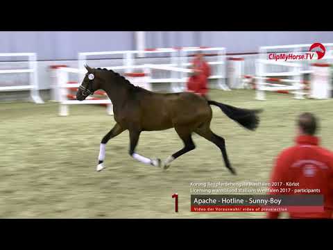 01  Junghengst v. Apache - Hotline