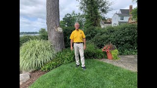 Fall Gardening Tips with Rick ENGLISH GARDENS