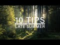 10 Tips for Woodland Photography in Late Summer | Landscape Photography