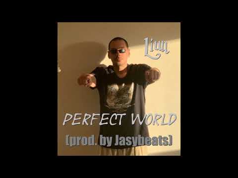 Method Man - Perfect World (Liun Cover / prod. by Jasybeats / Lyrics in the description)