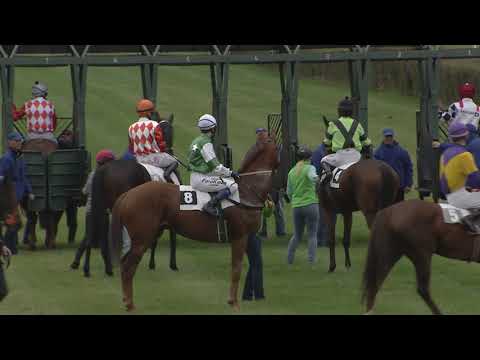 5. dostih - Cena Hipodromu Most - dostihy Most 10. 10. 2020