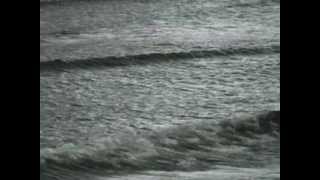 ANOUAR BRAHEM  Nouvelle Vague